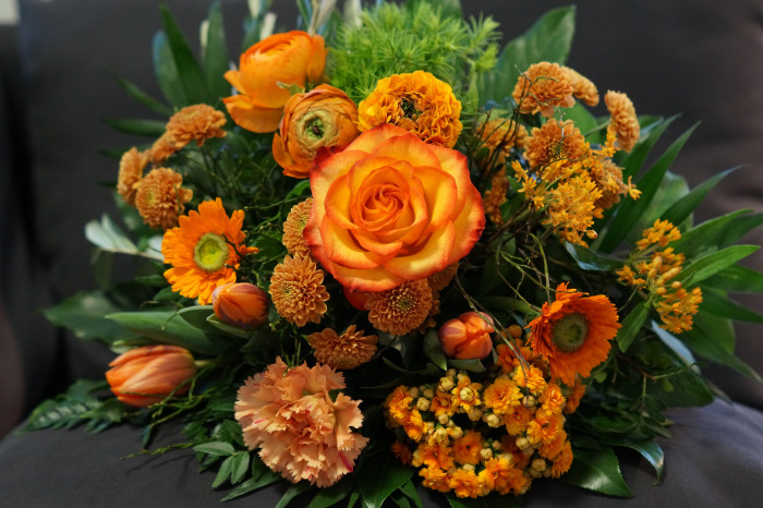 Orange Fever