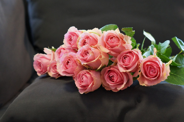 rosa Rosen