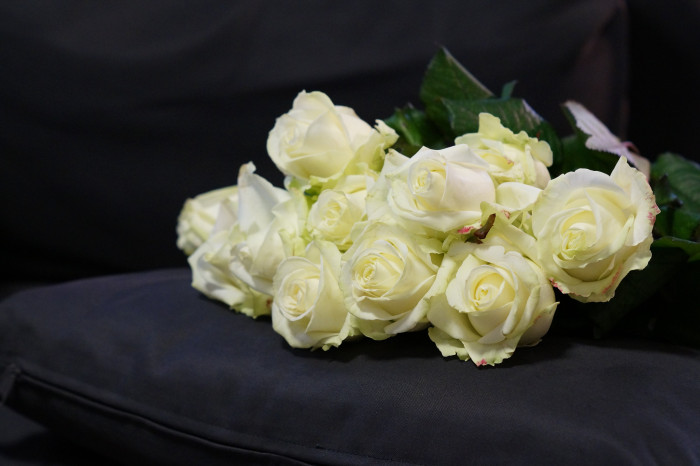 Weiße Rosen