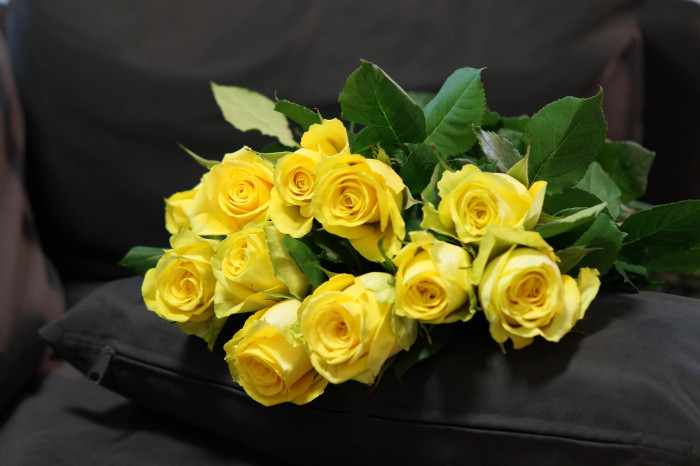 gelbe Rosen