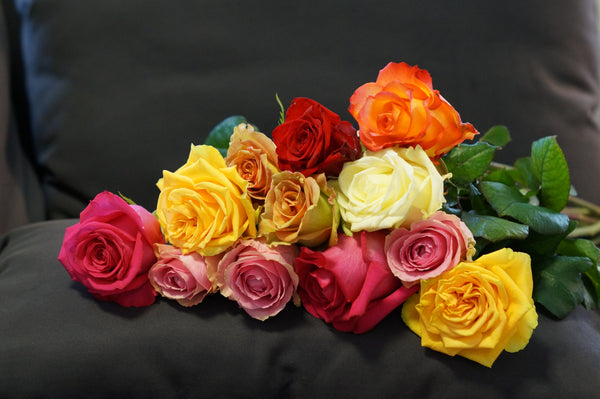 mixed roses